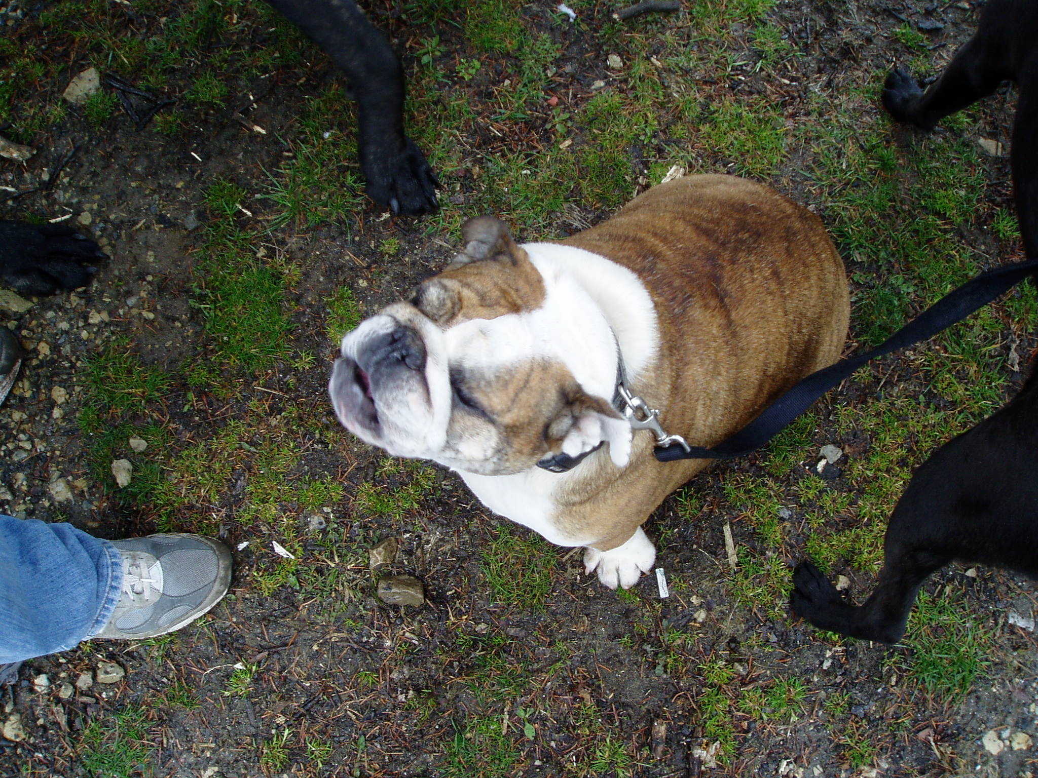 p1010014.jpg